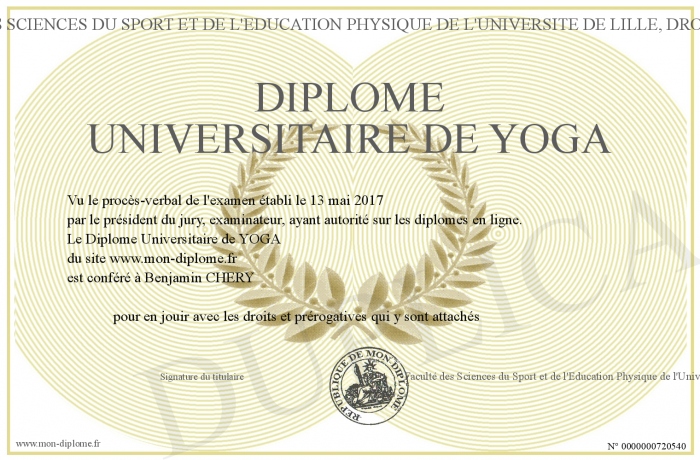 diplome universitaire yoga